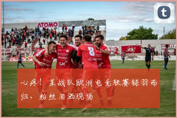 心疼！某战队欧洲电竞联赛铩羽而归，粉丝泪洒现场