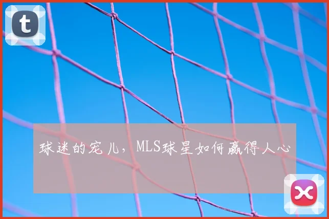球迷的宠儿,MLS球星如何赢得人心