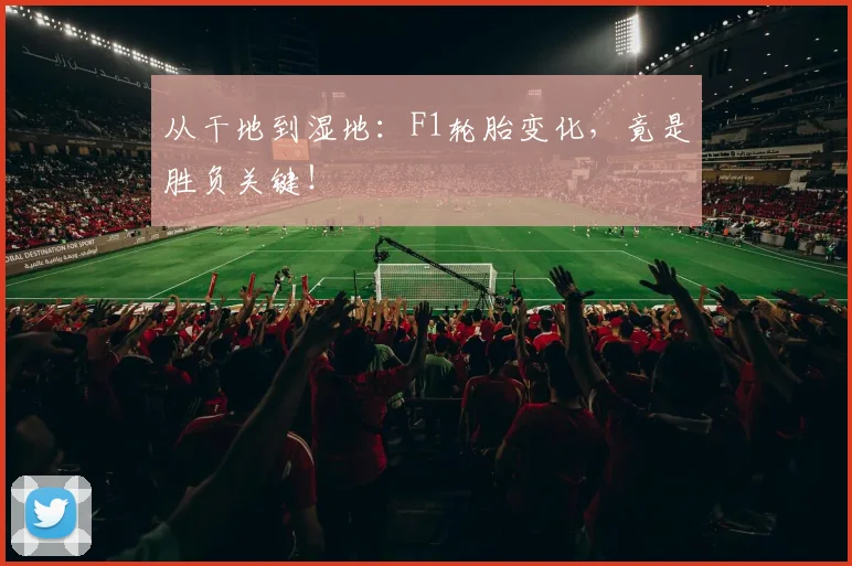 从干地到湿地：F1轮胎变化，竟是胜负关键！