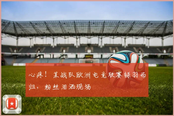 心疼！某战队欧洲电竞联赛铩羽而归，粉丝泪洒现场